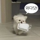 정연 | 건대 양식 술집 질서정연 크림누룽지그라탕 존맛후기 (와인 테스팅존)