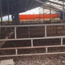 우사축사 이미지