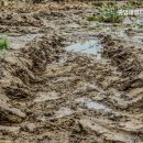 흥업대형타이어 이미지