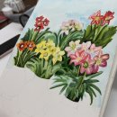 기초 수채화 기법부터 작품까지 | 대전 성인취미미술 수채화 클래스 │ 아마릴리스 꽃 작품 완성 후기