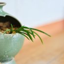 과거,현재,미래 이미지