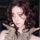 주영빌딩 | 서현역미용실 톤보정 끝판왕!플럼레드컬러 추천 오뉴월헤어 주영부원장