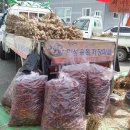 청도시장 이미지