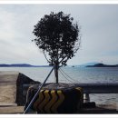 농원농산 이미지