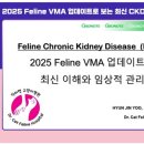 닥터캣 고양이병원 이미지