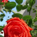 영랑공인중개사사무소 이미지