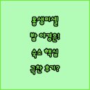 섬 호텔 | 몽생미셸 밤 풍경 보려면 여기 숙소 투숙객들이 극찬한 섬 내부 본토 호텔 후기