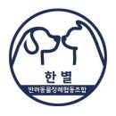 한별 도그파크 이미지