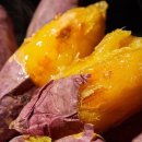 해남3호 이미지