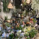 통일로42길 이미지