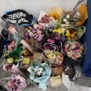 정그린산업 Daum카페