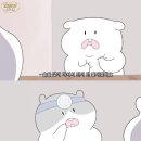 대현캠핑장 이미지