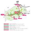 국화리(국화2리 마을회관 뒤편) | 강화도 고려산 진달래축제 등산코스 철쭉 인천 등산 추천