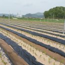 우림농원 이미지