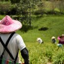 6차 산업화 시대, 로컬푸드와 스마트 유통의 융합
