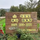 석모도부자캠핑장 | 애견동반 가능한 사이트 넓고 개별 울타리 설치된 &#34;석모도 부자 캠핑장&#34; 대형견과 V3 사이트 이용후기