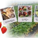 행복한농장 이미지