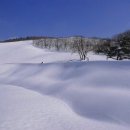 수정목장 이미지