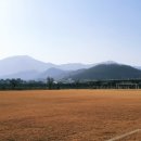 가곡체육공원 축구장 이미지