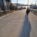 백의1리 마을회관 이미지