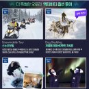 캐나다오로라 옐로나이프 오로라투어 추천, 오케이투어 3박4일 오로라헌팅