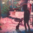 도파민(Dopamine) - 강남구 | 도파민(Dopamine)