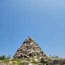 완도12호 이미지