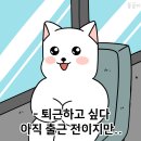 유성청구(1차) 네이버블로그