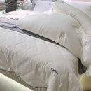 판교로라애슐리
