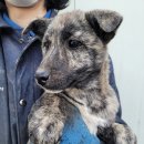 홀인원골프랜드 이미지