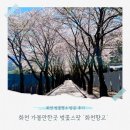 씨유 춘천향교점 | 화천향교 강원도 화천 벚꽃 명소 방문 후기 | 주차 정보, 예상개화시기
