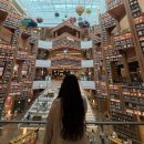 킹덤태권도 | [수원] 스타필드 수원 :: 스타필드 수원에서 하루종일 놀면 얼마가 들까나?