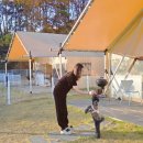 하나로3길 | 애견동반 개별울타리있는 대구근교 경북 &#39;왜관 하이스트 글램핑장&#39; 방문후기