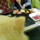 은데미공원 입구 | [여월동 맛집] 캠핑장 느낌나는 바베큐 맛집, 애견동반되고 친절한 &#34;여월가든&#34;