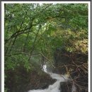 계곡풍경 이미지