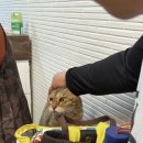 달빛자락 이미지