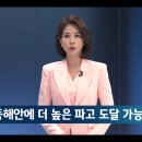 동해안 계신분들 추가 쓰나미 조심하세요 이미지