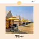 야미하우스 | 용인 당일 글램핑 추천 캠핑야미 준비물 반려견 키즈카페