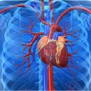 (주)델피아이 이미지