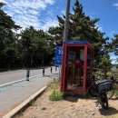 (주)남도렌트카 | 제주도 자전거길 종주｜가족과 3일 완주 | 2인용자전거 전기자전거 대여부터 준비물·비용·숙소까지