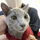 파랑새동물병원 이미지