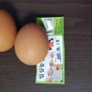 일심농장 이미지