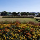 대구정원박람회 ... 하중도에서 이미지