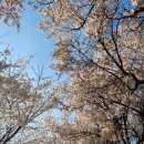 우리나현유치원 이미지