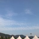 2019 보야지투자라섬 후기) 곧 자라섬 가실분들 참고~!(feat. 2019 자라섬재즈페스티벌 준비물)