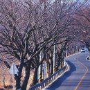 강변공원주차장 이미지