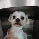 서울튼튼연합의원 이미지