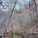 도원펜션 | 강원도 정선 독채 펜션 계곡 물소리와 밤하늘 별이 함께하는 도원펜션 캠핑장 후기