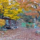 횡계고려의원 이미지