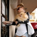 리치동물병원 이미지